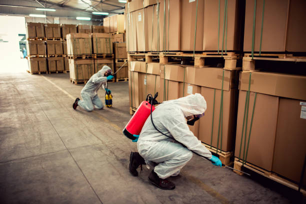 Best Wasp Removal Services  in Tropical Park, FL
