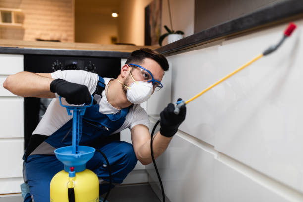 Best Flea Control Services  in Tropical Park, FL