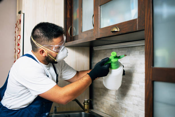 Best Residential Pest Control  in Tropical Park, FL