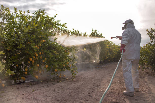 Best Pest Control Near Me  in Tropical Park, FL
